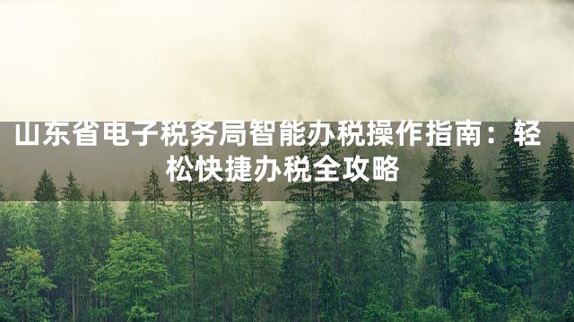 山东省电子税务局智能办税操作指南：轻松快捷办税全攻略