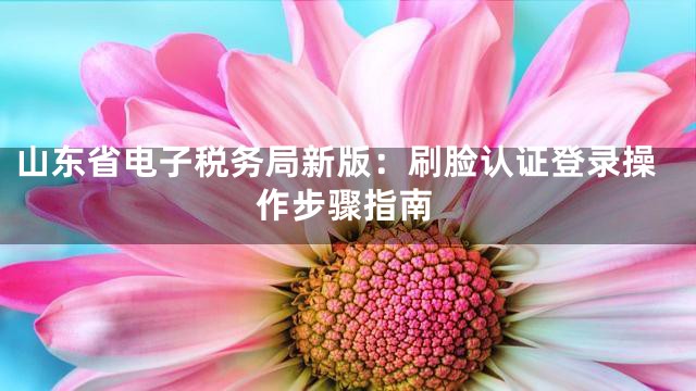 山东省电子税务局新版：刷脸认证登录操作步骤指南