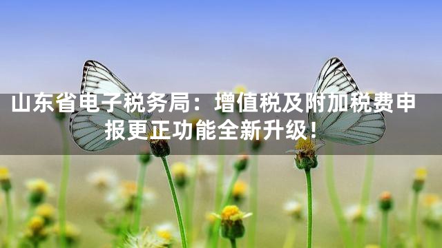 山东省电子税务局：增值税及附加税费申报更正功能全新升级！