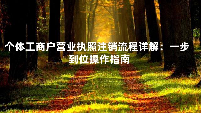 个体工商户营业执照注销流程详解：一步到位操作指南
