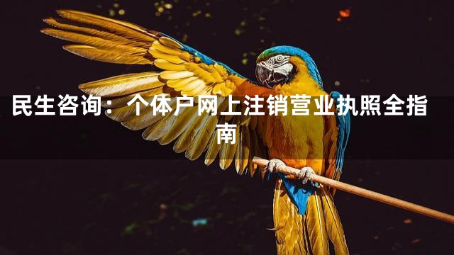 民生咨询：个体户网上注销营业执照全指南