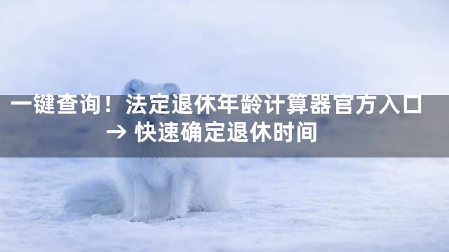 一键查询！法定退休年龄计算器官方入口→ 快速确定退休时间