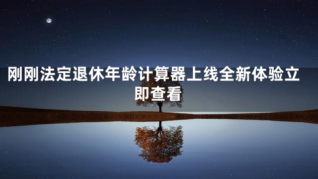 刚刚法定退休年龄计算器上线全新体验立即查看