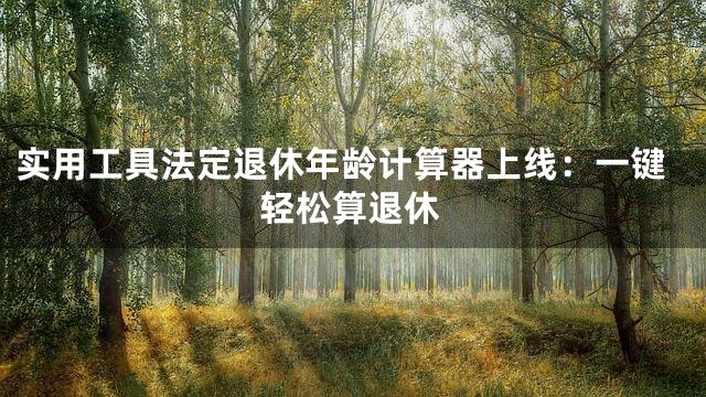 实用工具法定退休年龄计算器上线：一键轻松算退休