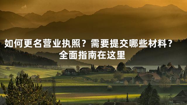 如何更名营业执照？需要提交哪些材料？全面指南在这里