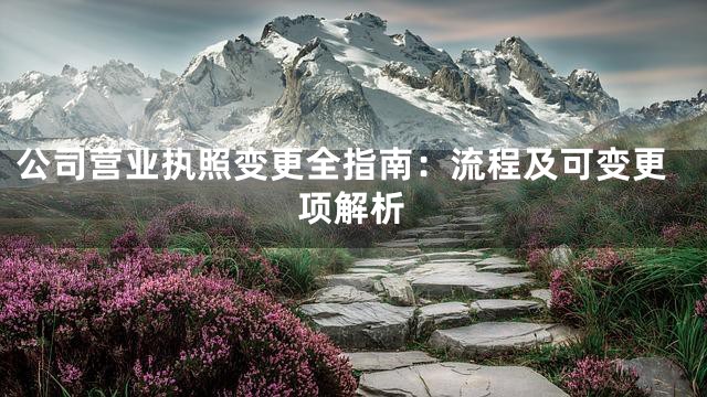 公司营业执照变更全指南：流程及可变更项解析
