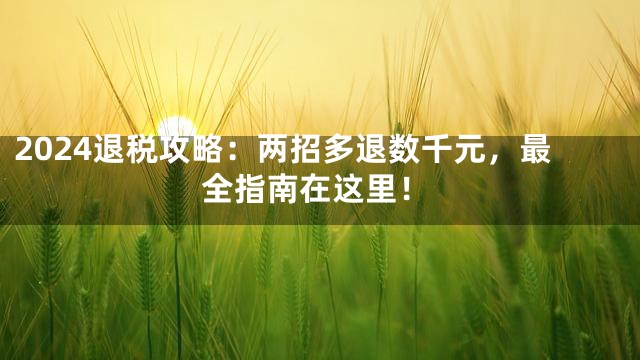 2024退税攻略：两招多退数千元，最全指南在这里！