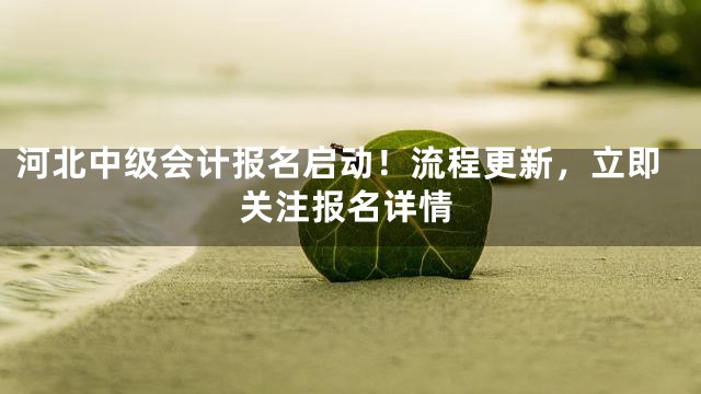 河北中级会计报名启动！流程更新，立即关注报名详情