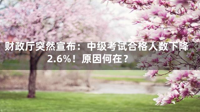 财政厅突然宣布：中级考试合格人数下降2.6%！原因何在？