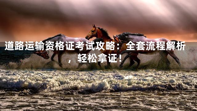 道路运输资格证考试攻略：全套流程解析，轻松拿证！