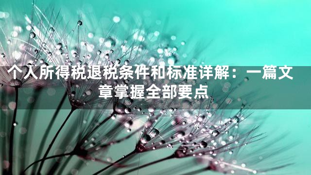 个人所得税退税条件和标准详解：一篇文章掌握全部要点