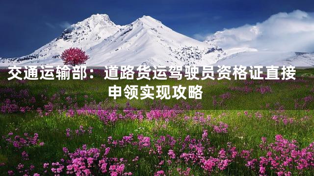 交通运输部：道路货运驾驶员资格证直接申领实现攻略