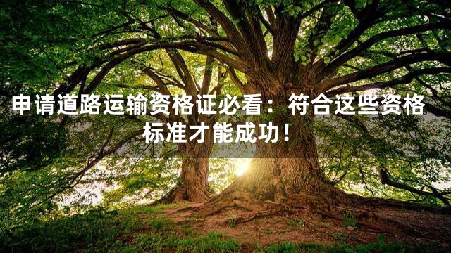 申请道路运输资格证必看：符合这些资格标准才能成功！