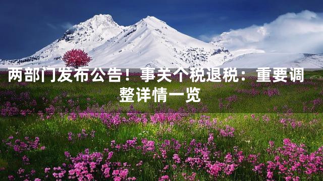 两部门发布公告！事关个税退税：重要调整详情一览