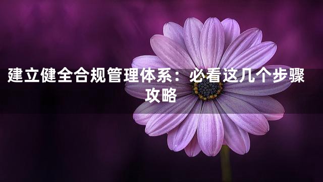 建立健全合规管理体系：必看这几个步骤攻略
