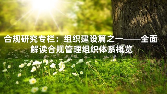 合规研究专栏：组织建设篇之一——全面解读合规管理组织体系概览