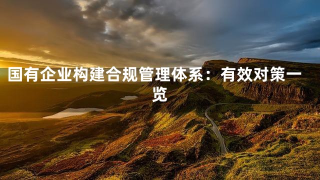 国有企业构建合规管理体系：有效对策一览