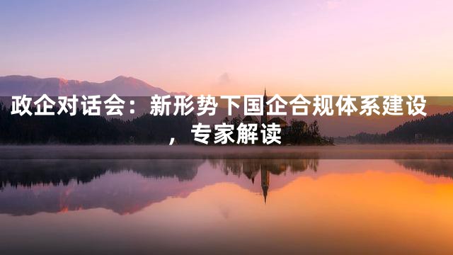 政企对话会：新形势下国企合规体系建设，专家解读