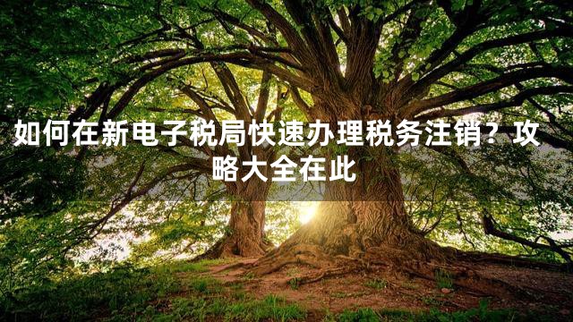 如何在新电子税局快速办理税务注销？攻略大全在此