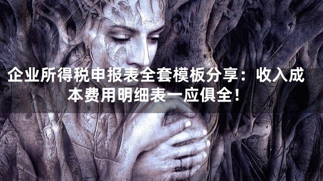 企业所得税申报表全套模板分享：收入成本费用明细表一应俱全！