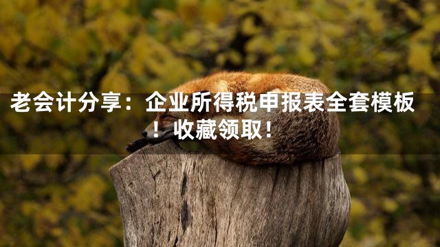 老会计分享：企业所得税申报表全套模板！收藏领取！