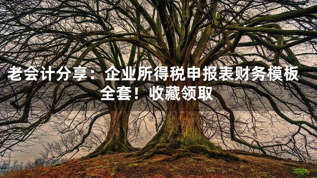 老会计分享：企业所得税申报表财务模板全套！收藏领取