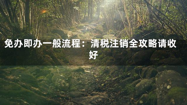 免办即办一般流程：清税注销全攻略请收好