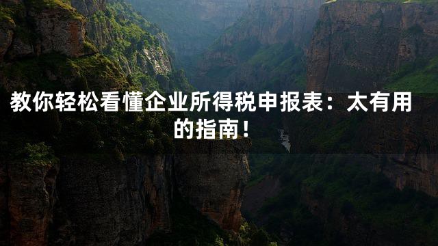 教你轻松看懂企业所得税申报表：太有用的指南！