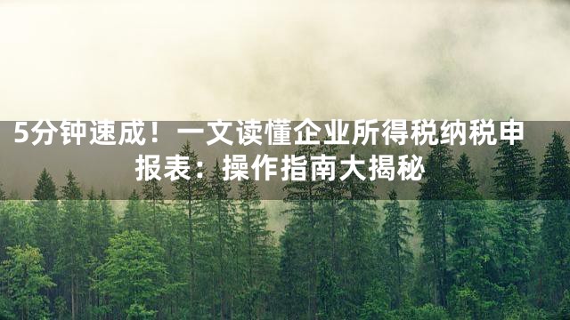 5分钟速成！一文读懂企业所得税纳税申报表：操作指南大揭秘