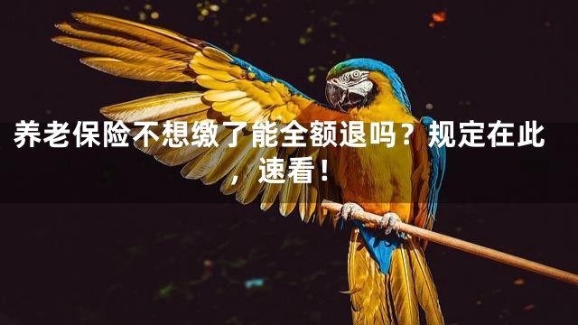 养老保险不想缴了能全额退吗？规定在此，速看！