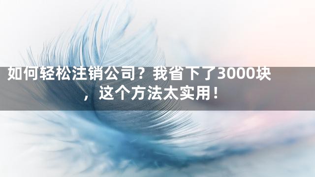 如何轻松注销公司？我省下了3000块，这个方法太实用！