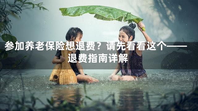 参加养老保险想退费？请先看看这个——退费指南详解