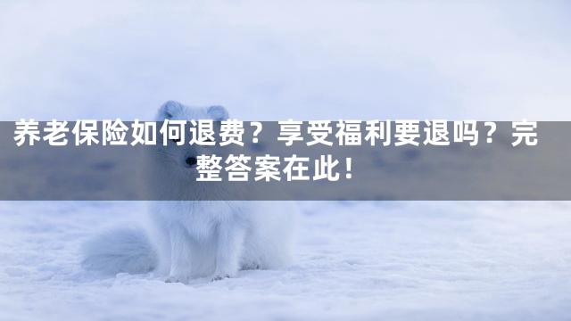 养老保险如何退费？享受福利要退吗？完整答案在此！