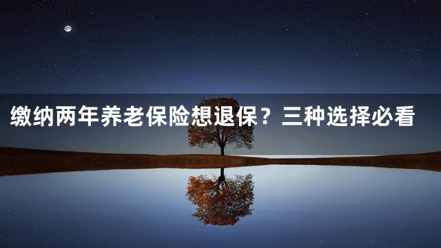 缴纳两年养老保险想退保？三种选择必看