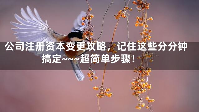 公司注册资本变更攻略，记住这些分分钟搞定~~~超简单步骤！