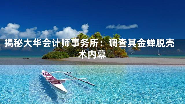 揭秘大华会计师事务所：调查其金蝉脱壳术内幕
