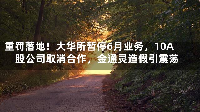 重罚落地！大华所暂停6月业务，10A股公司取消合作，金通灵造假引震荡