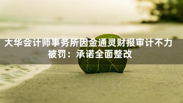 大华会计师事务所因金通灵财报审计不力被罚：承诺全面整改