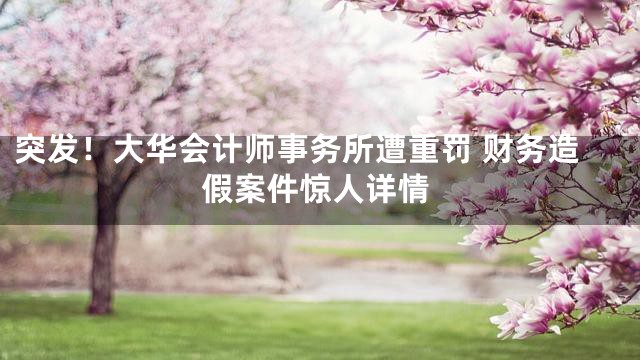 突发！大华会计师事务所遭重罚 财务造假案件惊人详情