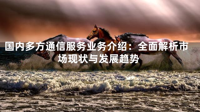 国内多方通信服务业务介绍：全面解析市场现状与发展趋势