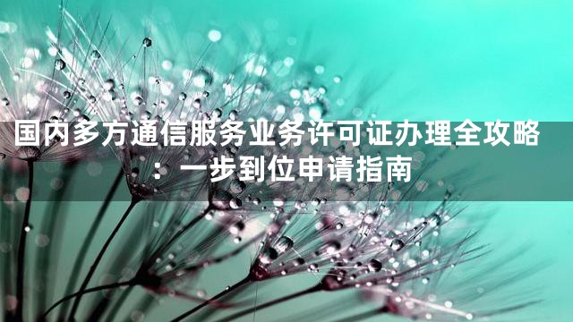 国内多方通信服务业务许可证办理全攻略：一步到位申请指南