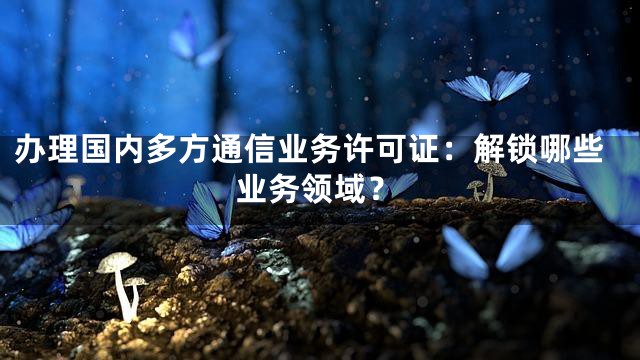 办理国内多方通信业务许可证：解锁哪些业务领域？