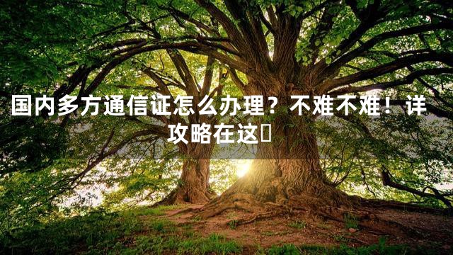 国内多方通信证怎么办理？不难不难！详攻略在这️