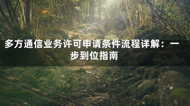 多方通信业务许可申请条件流程详解：一步到位指南
