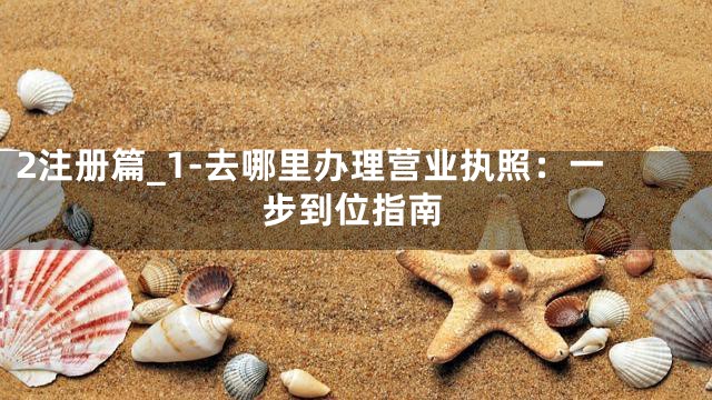 2注册篇_1-去哪里办理营业执照：一步到位指南