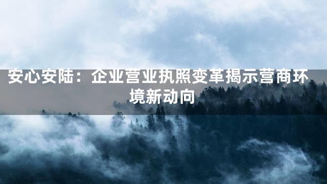 安心安陆：企业营业执照变革揭示营商环境新动向
