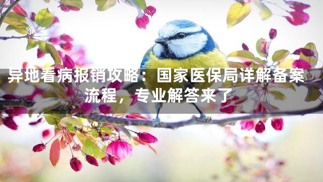 异地看病报销攻略：国家医保局详解备案流程，专业解答来了