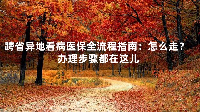 跨省异地看病医保全流程指南：怎么走？办理步骤都在这儿