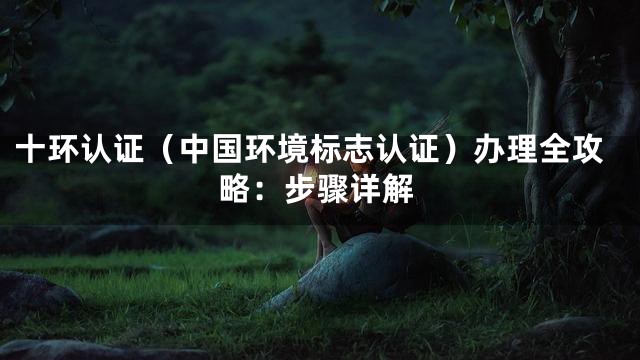 十环认证（中国环境标志认证）办理全攻略：步骤详解