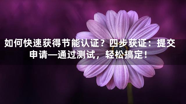 如何快速获得节能认证？四步获证：提交申请—通过测试，轻松搞定！